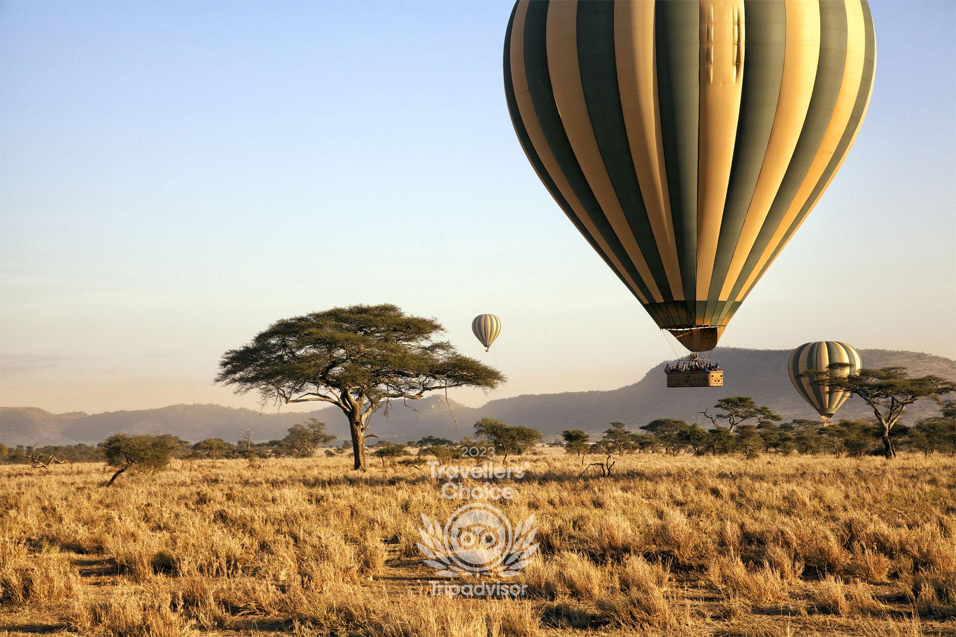 Once the Balloon rises with the sun, the early wake-up call will begin to make perfect sense. Each journey is different, the route of the Balloon determined by the direction of the wind. As the Serengeti expands in magnificence before your eyes, the skilled pilots will guide the Balloon towards wildlife on the ground. A Champagne breakfast and toast to your return to Earth can be enjoyed under the canopy of an Acacia tree in the middle of Serengeti wilderness